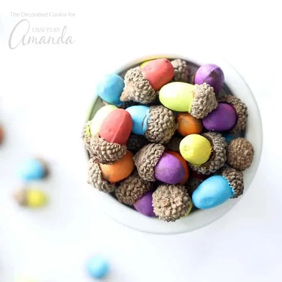 Glands naturels peints de couleurs vives pour une activité d’automne