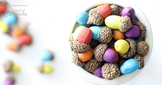 Glands naturels peints en couleurs vives pour l’automne