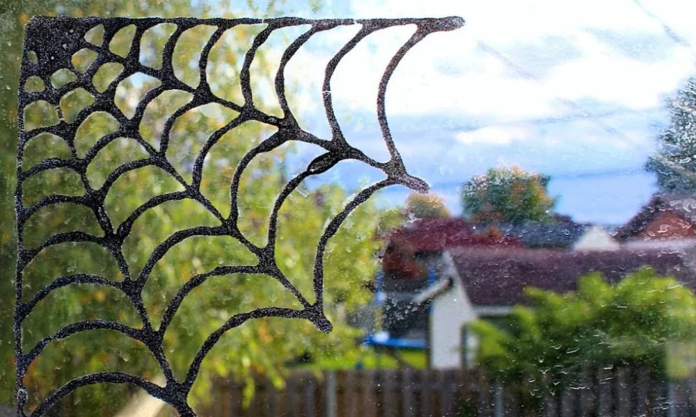 Toile d’araignée brillante fixée sur une fenêtre