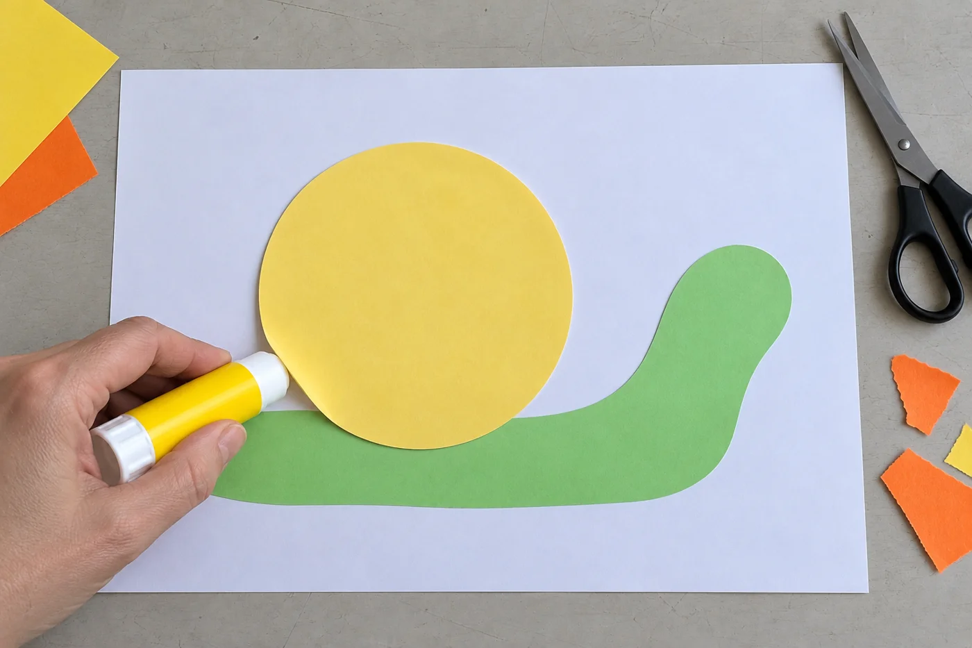 Corps vert d’escargot et disque jaune de coquille encore vierges, collés sur une feuille blanche